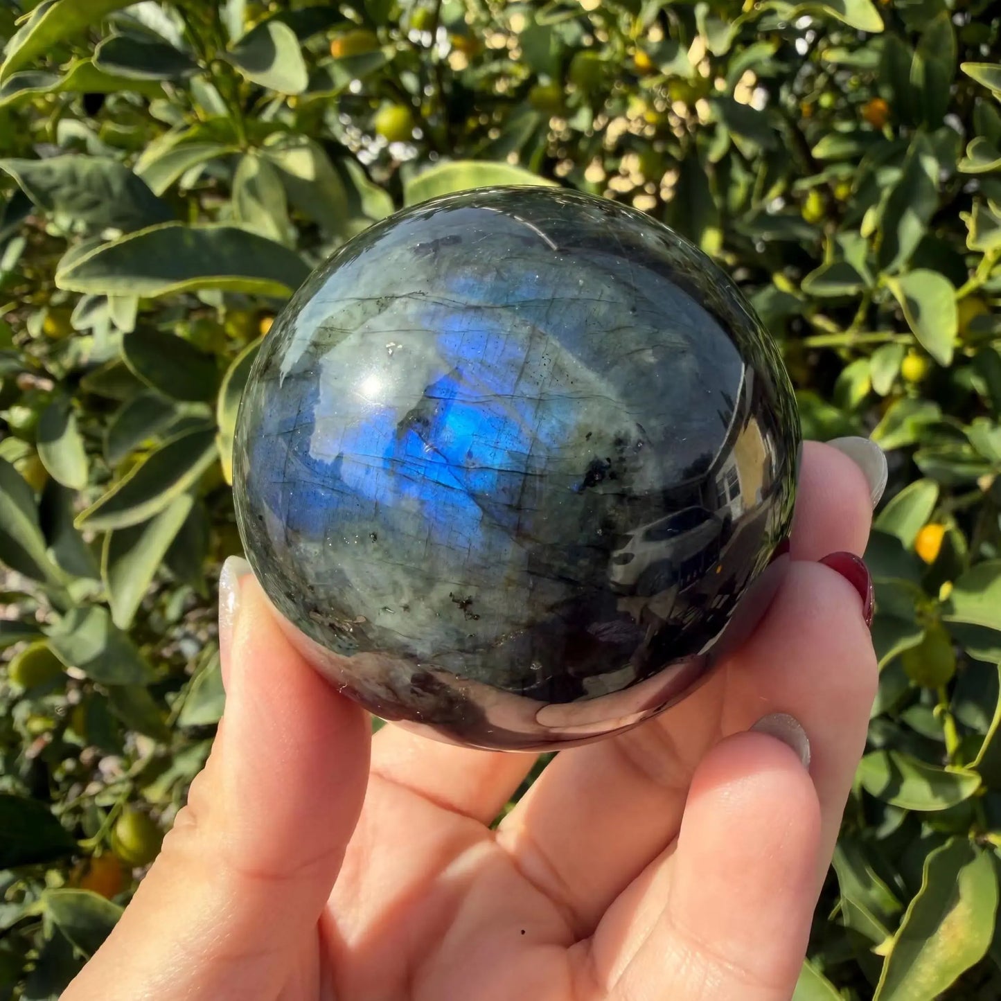 CrystalHola Labradorite Ball Sphere For Home Decoration Healing Crystals