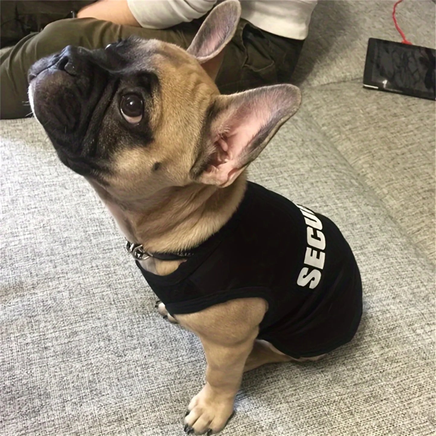 Dog Summer Vest Clothing For Small Dogs Chihuahua Yorkie Pet T Shirt