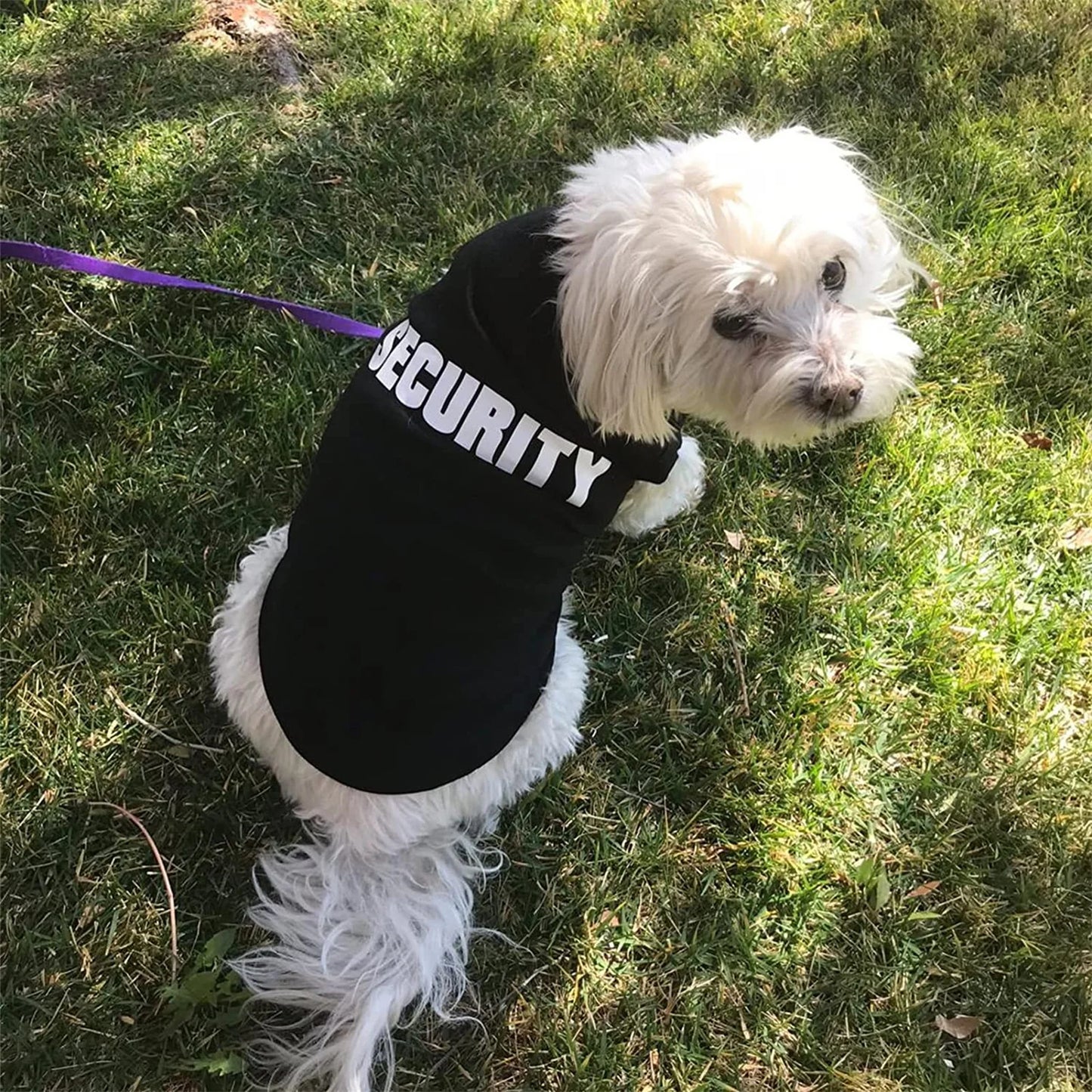 Dog Summer Vest Clothing For Small Dogs Chihuahua Yorkie Pet T Shirt