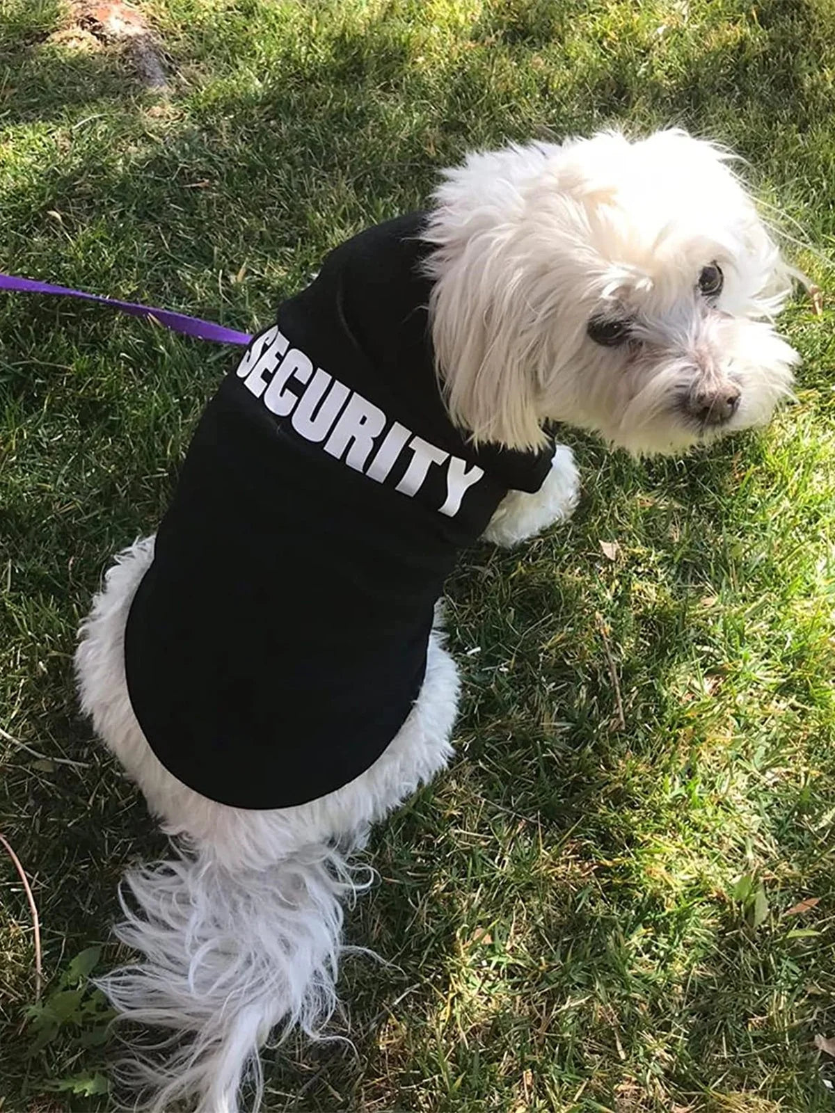 Dog Summer Vest Clothing For Small Dogs Chihuahua Yorkie Pet T Shirt