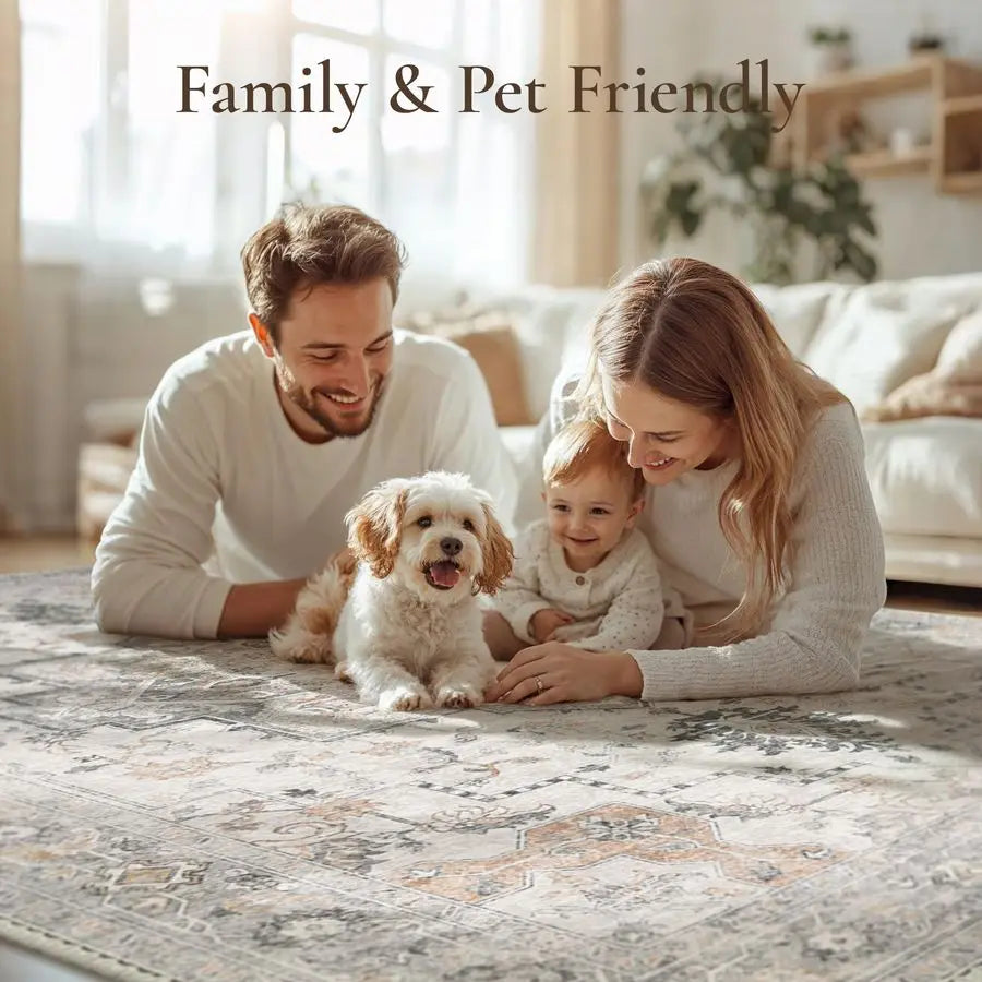 Dini Machine Washable Non Slip Chenille Area Rug For Living Room And Bedroom